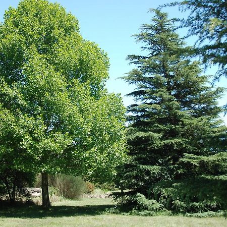 Laragh-On-Hogsback Βίλα Εξωτερικό φωτογραφία