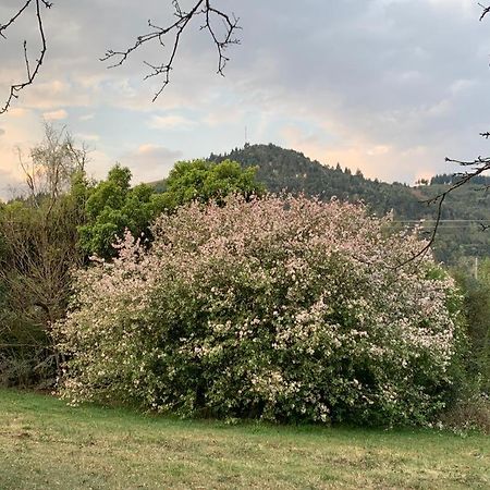 Laragh-On-Hogsback Βίλα Εξωτερικό φωτογραφία