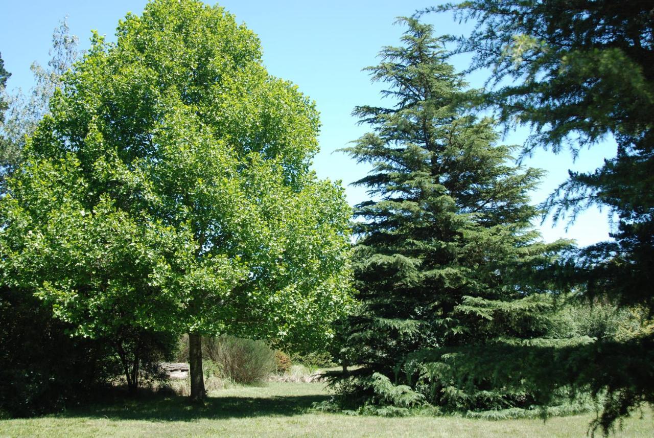 Laragh-On-Hogsback Βίλα Εξωτερικό φωτογραφία
