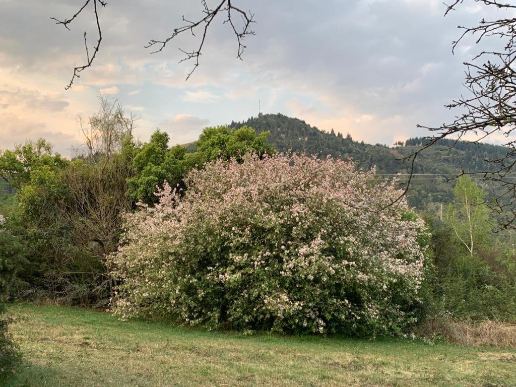 Laragh-On-Hogsback Βίλα Εξωτερικό φωτογραφία